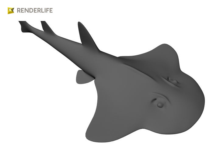 Angel Shark with animation 3D model_7