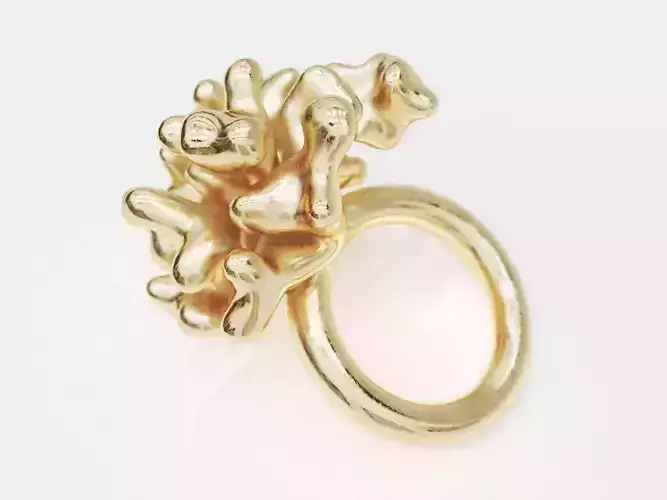 Coral Ring 3D print model