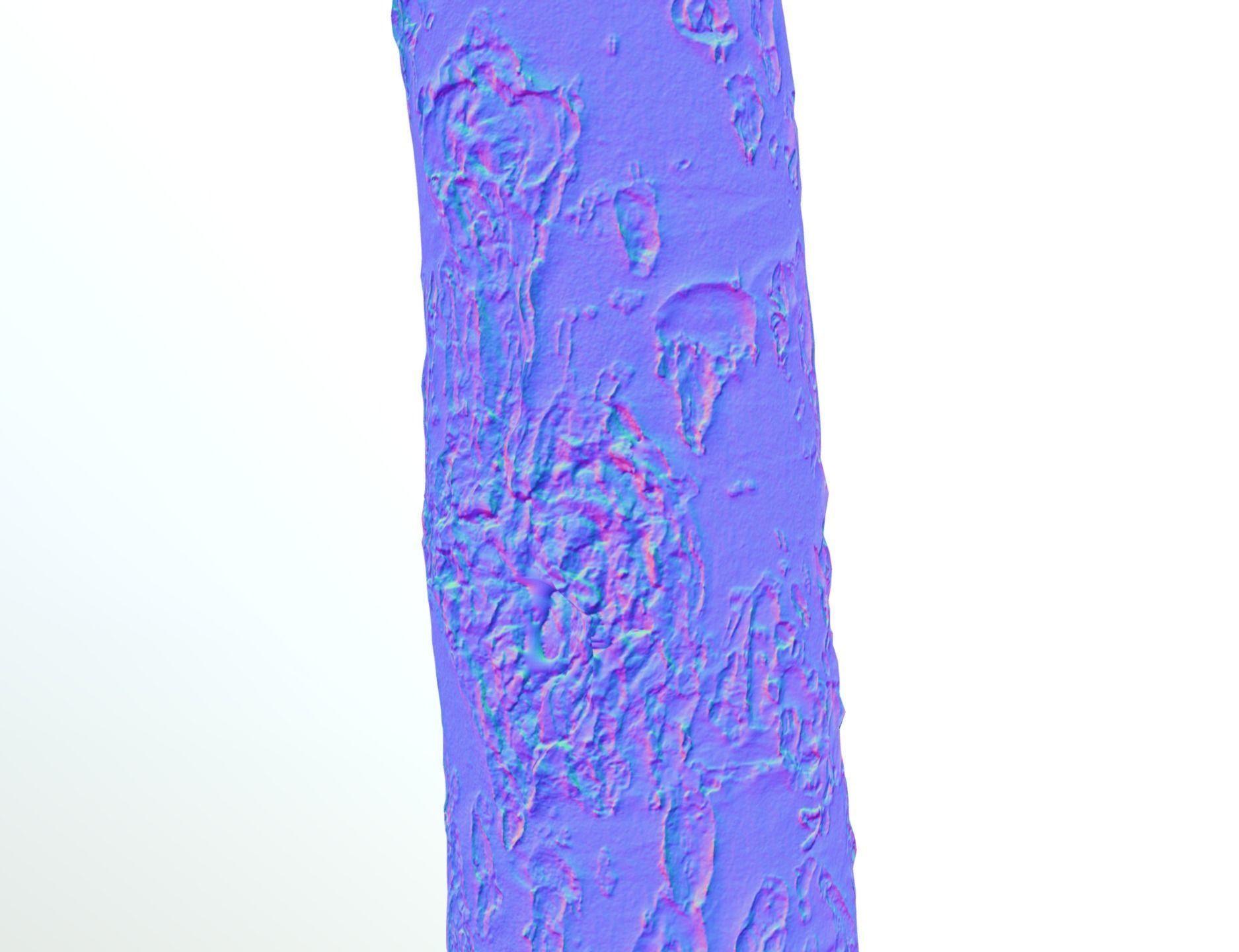 Thin apple tree trunk Low-poly 3D model_11