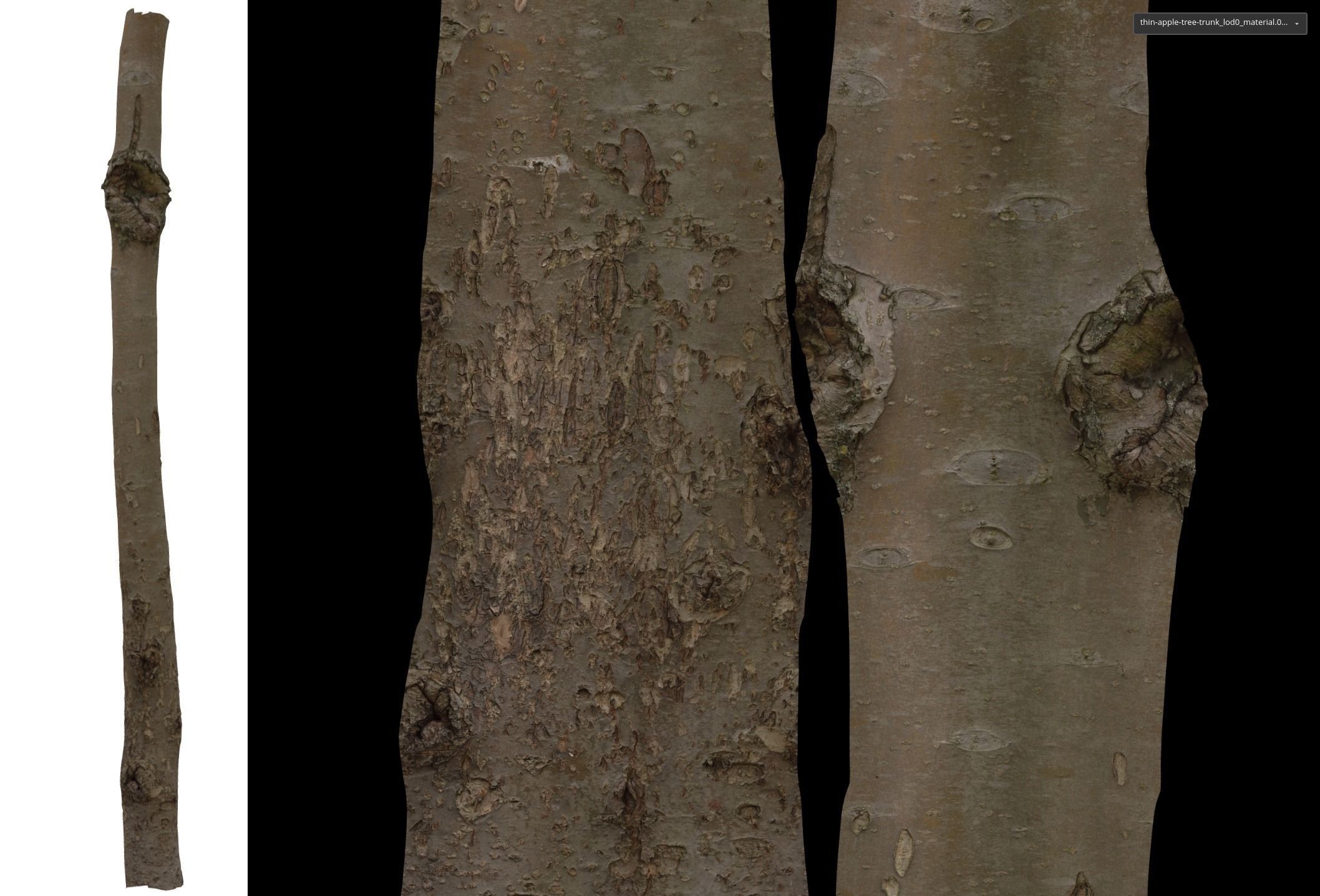 Thin apple tree trunk Low-poly 3D model_15