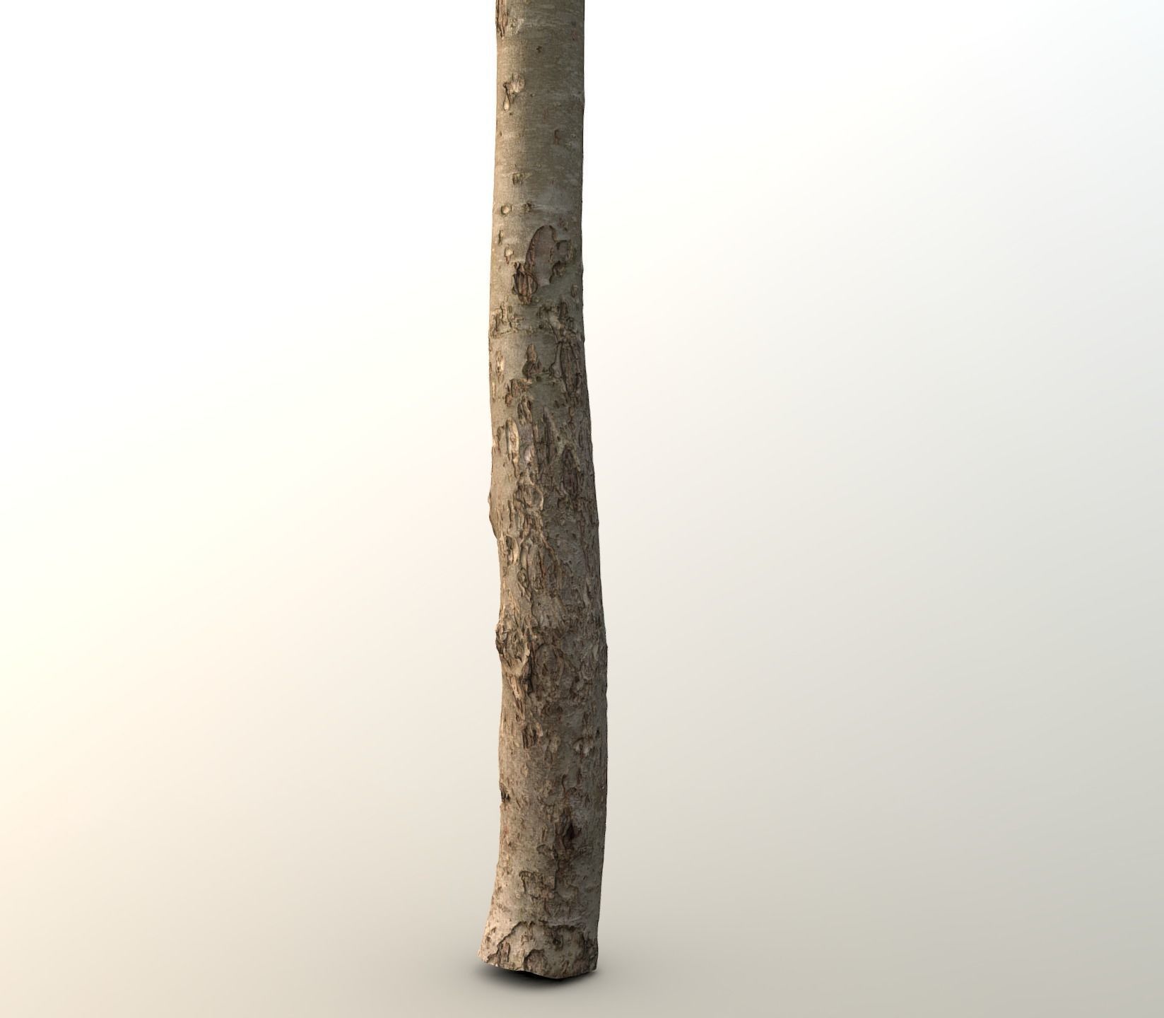 Thin apple tree trunk Low-poly 3D model_4