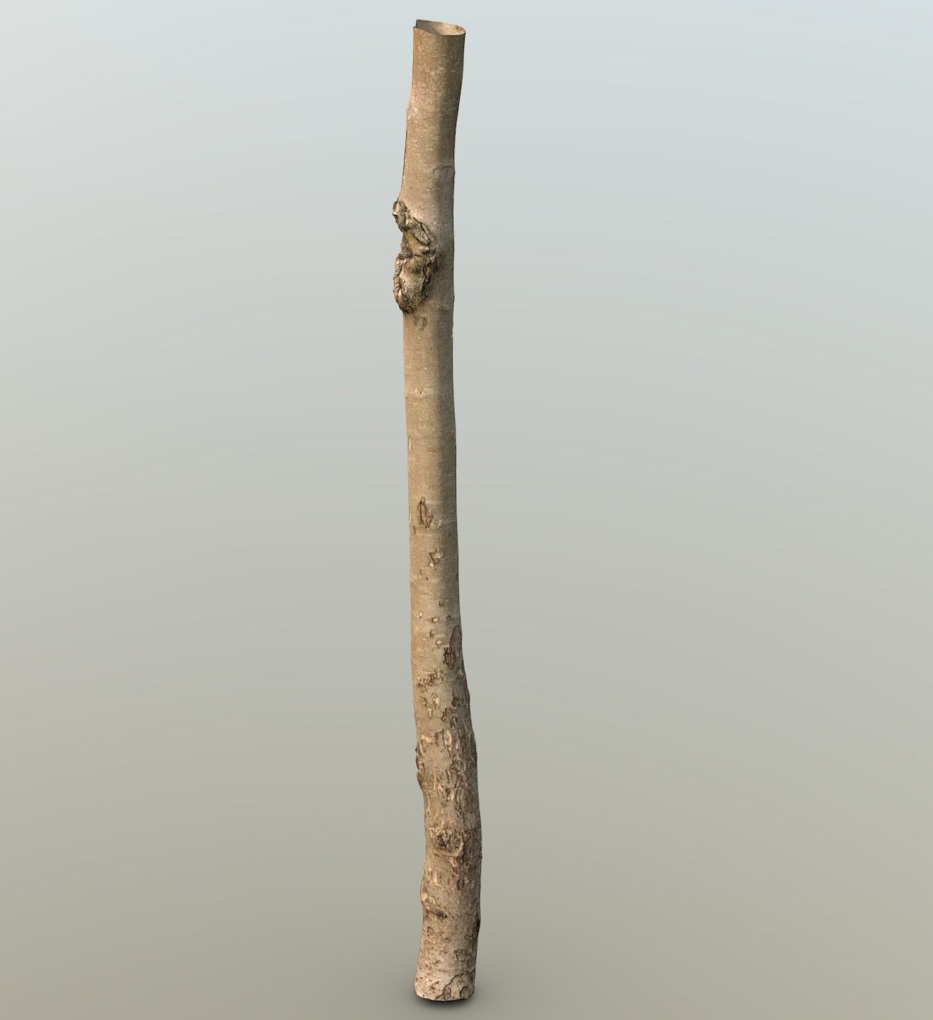 Thin apple tree trunk Low-poly 3D model_7