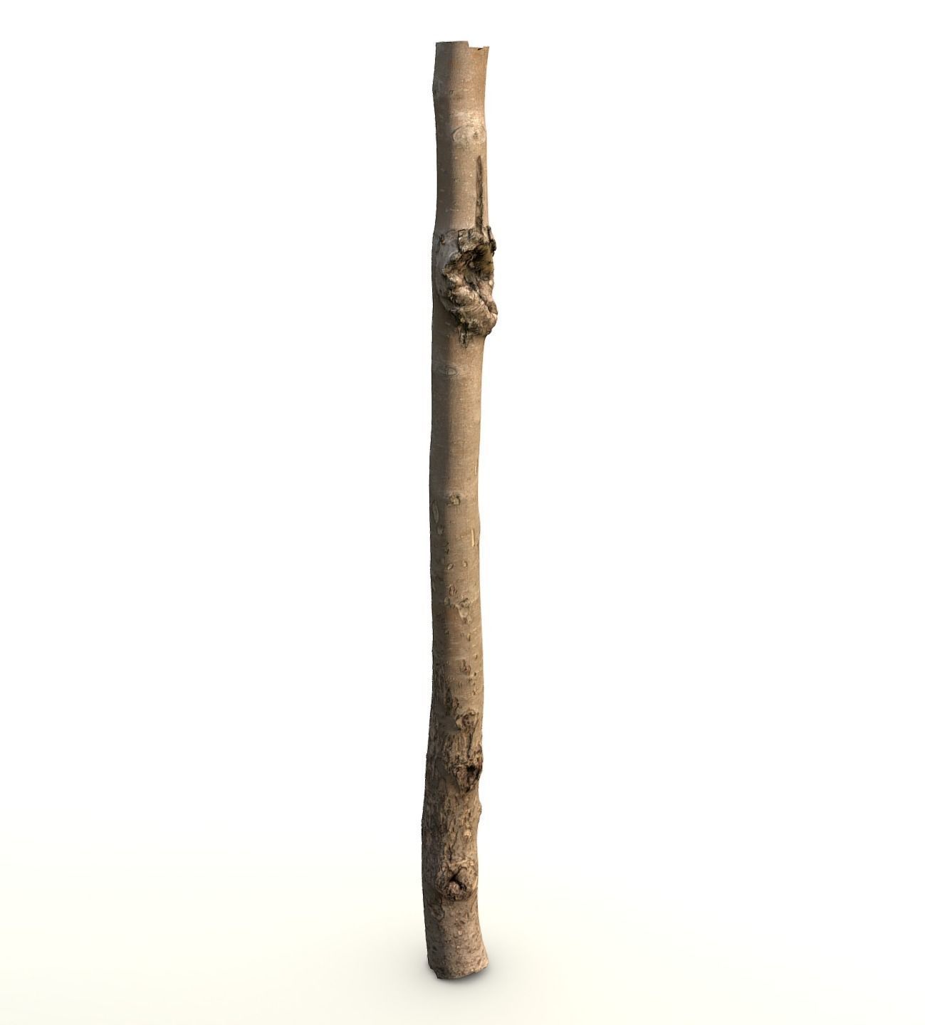 Thin apple tree trunk Low-poly 3D model_6