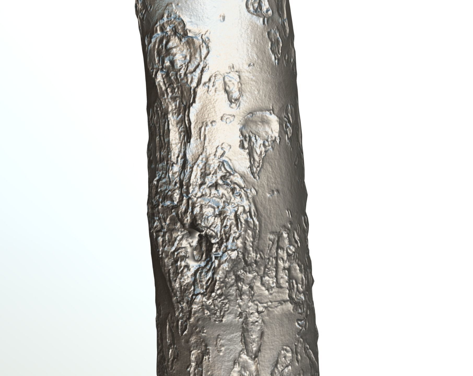 Thin apple tree trunk Low-poly 3D model_13