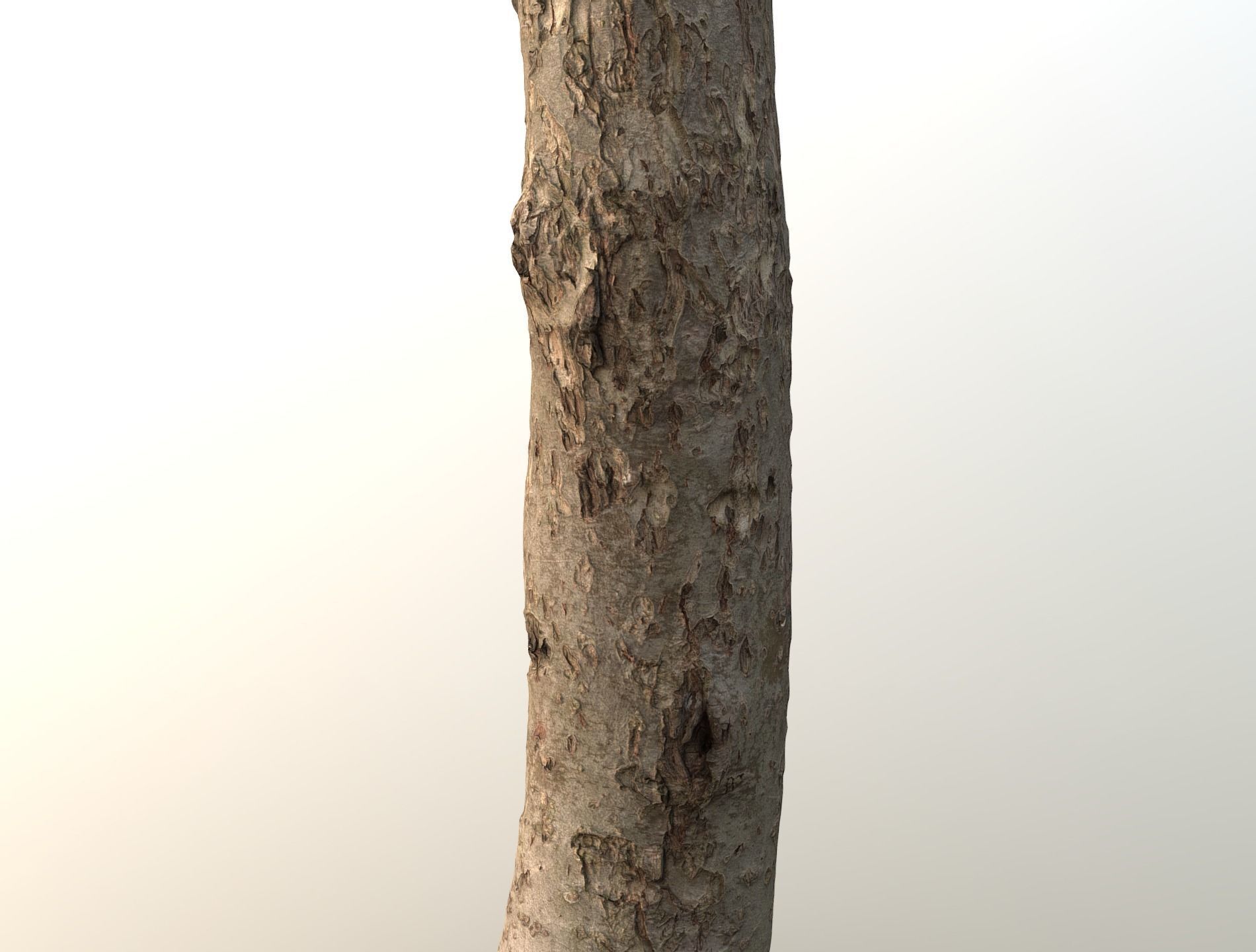 Thin apple tree trunk Low-poly 3D model_3