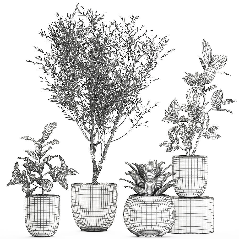 Plants in a white pot for the interior 673 3D model_7