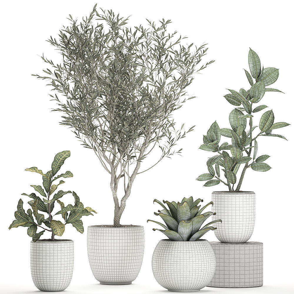 Plants in a white pot for the interior 673 3D model_6