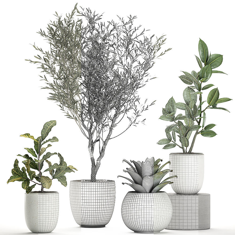 Plants in a white pot for the interior 673 3D model_5