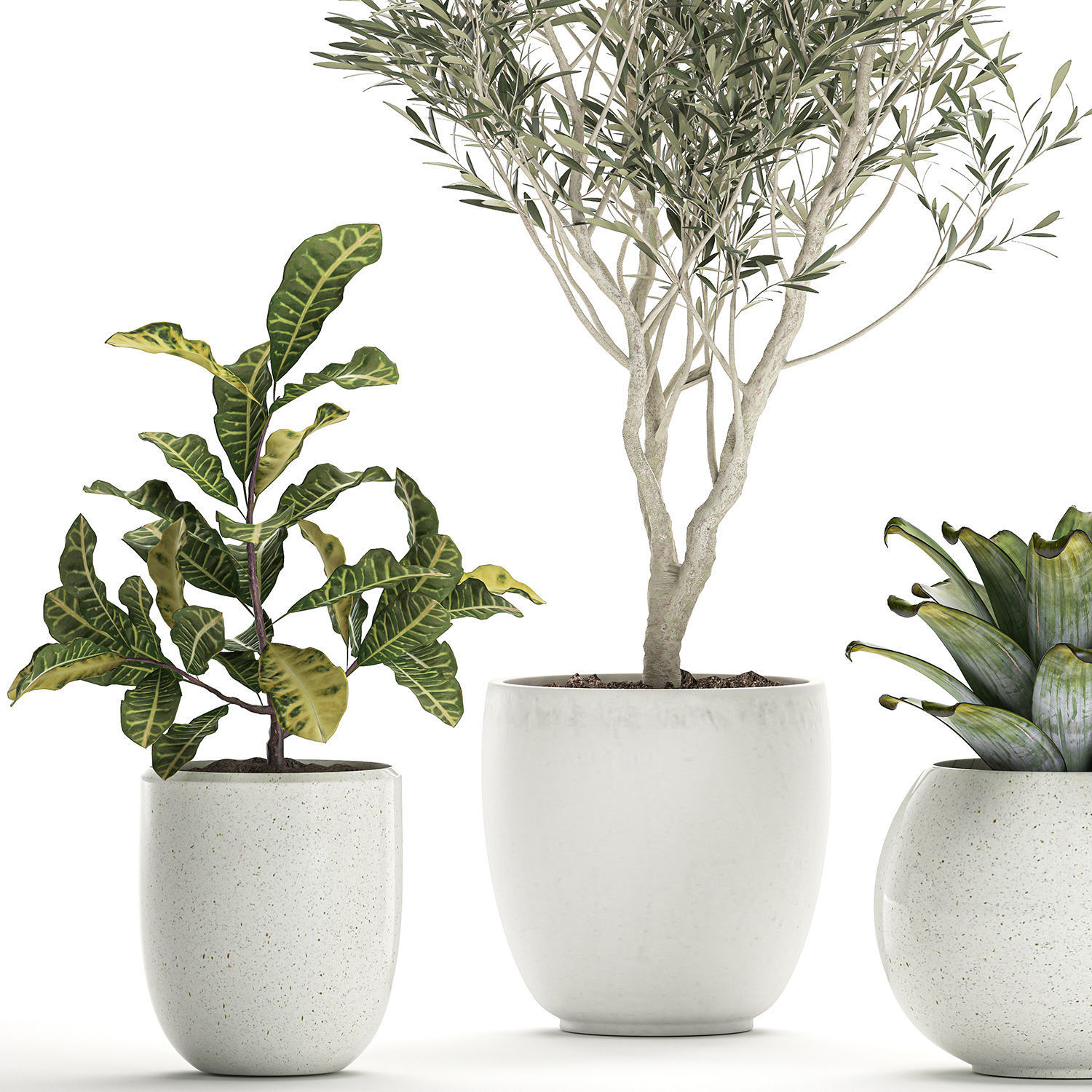 Plants in a white pot for the interior 673 3D model_4