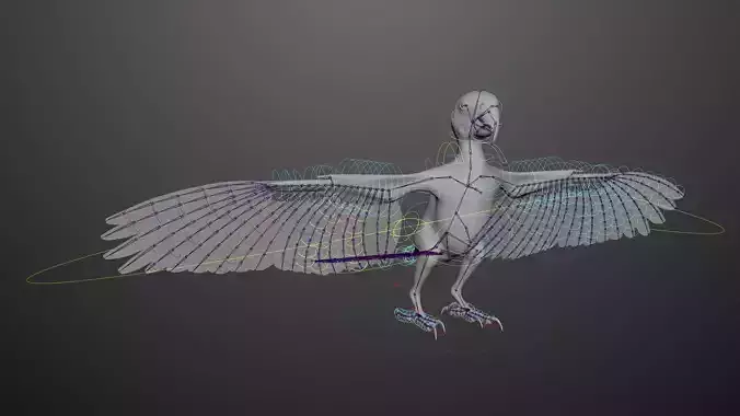 Basic model with Animation RIG of Macaw 3D model