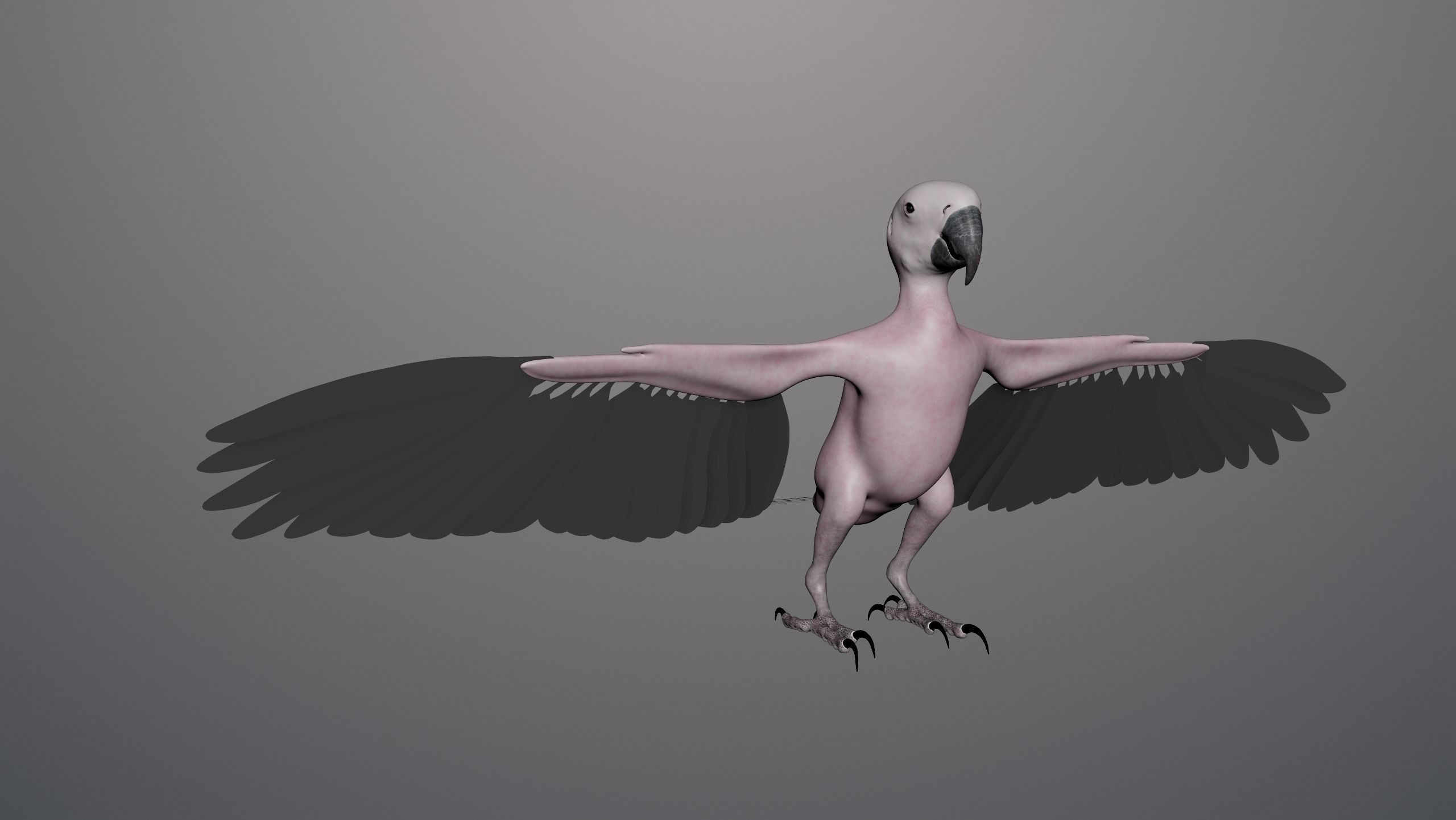 Realistic 3D model of Macaw with texture pack 3D model_4