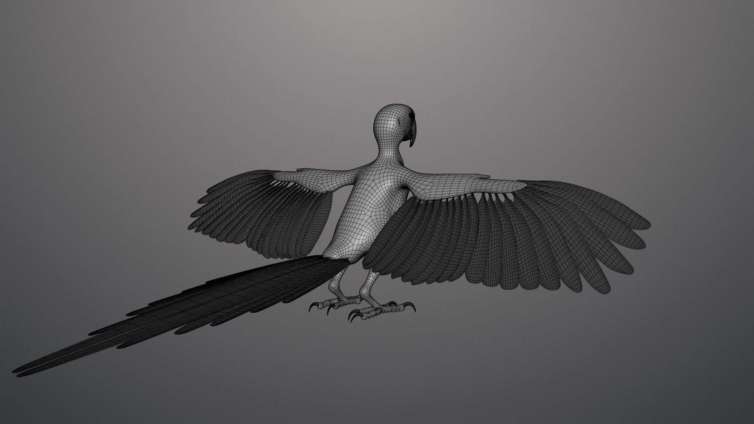 Realistic 3D model of Macaw with texture pack 3D model_12