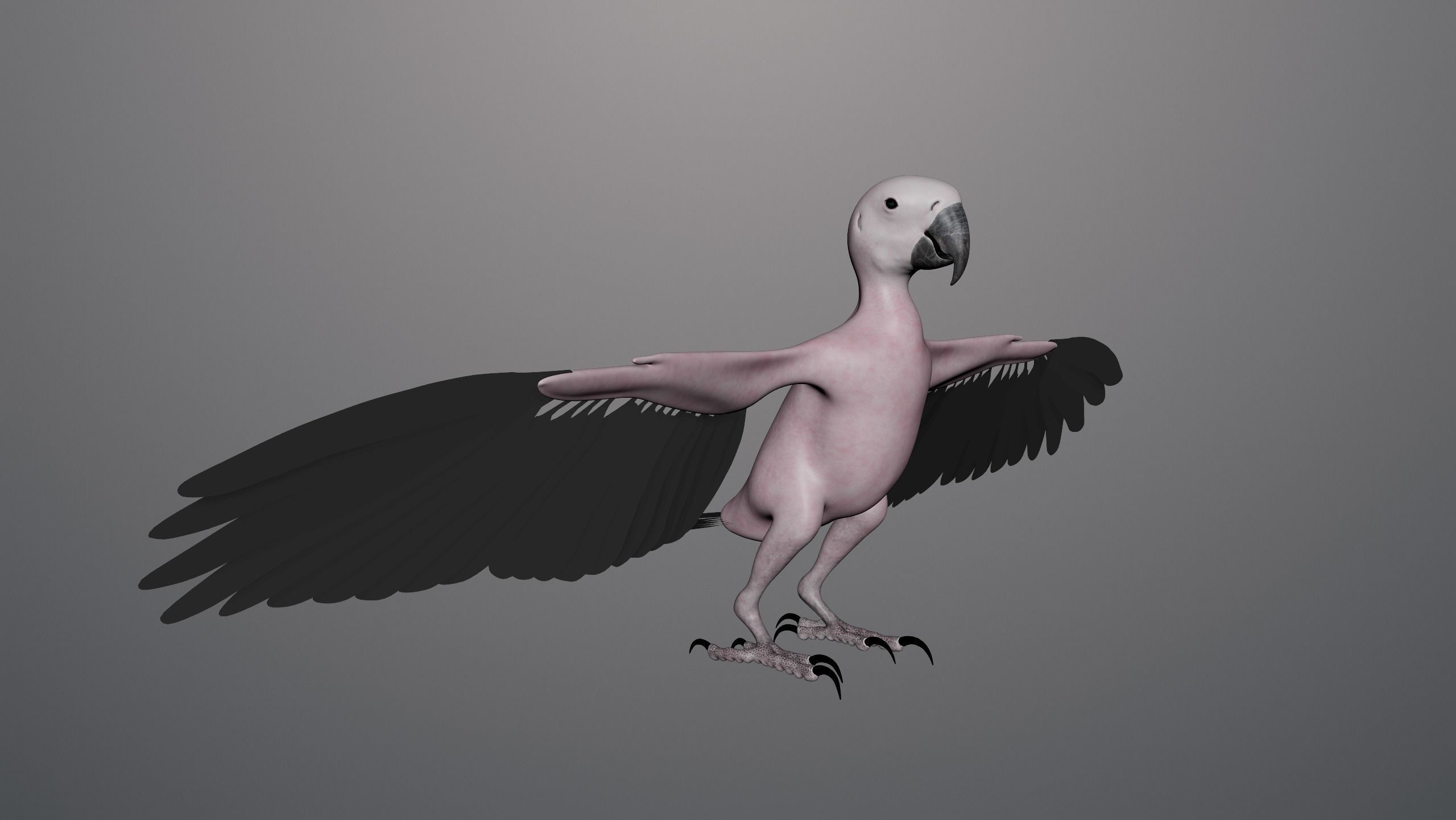 Realistic 3D model of Macaw with texture pack 3D model_8