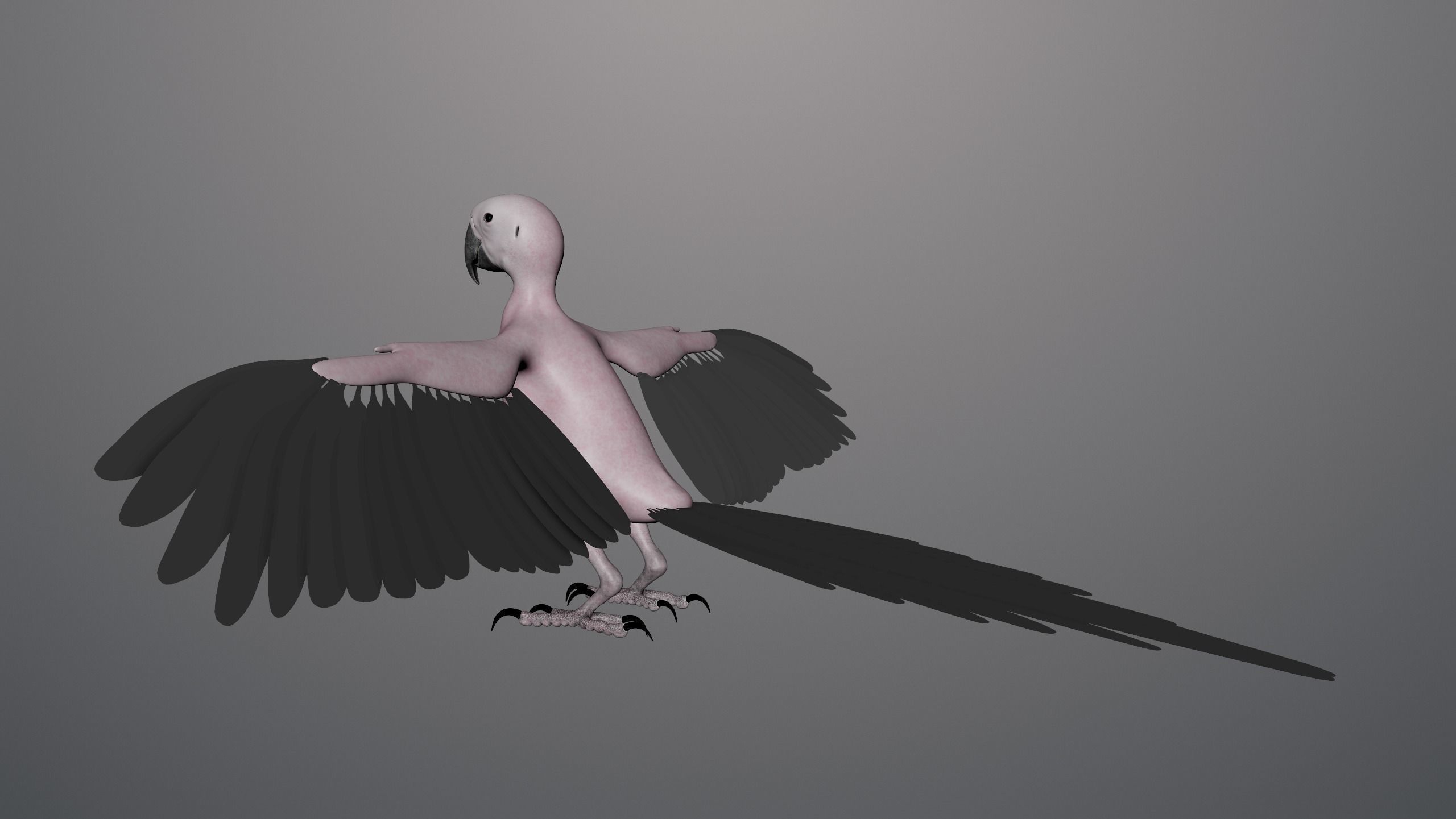 Realistic 3D model of Macaw with texture pack 3D model_6