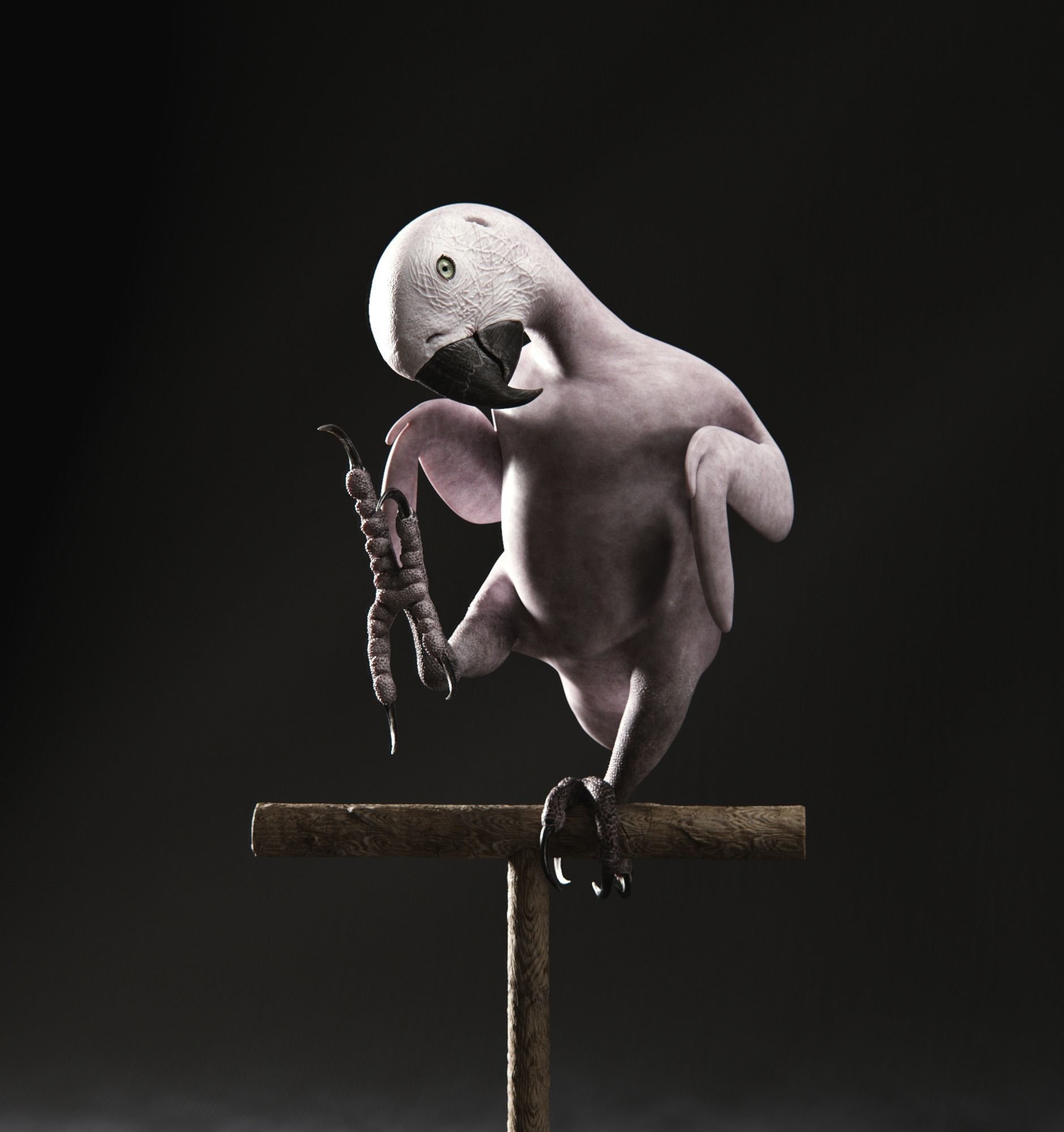 Realistic 3D model of Macaw with texture pack 3D model_1