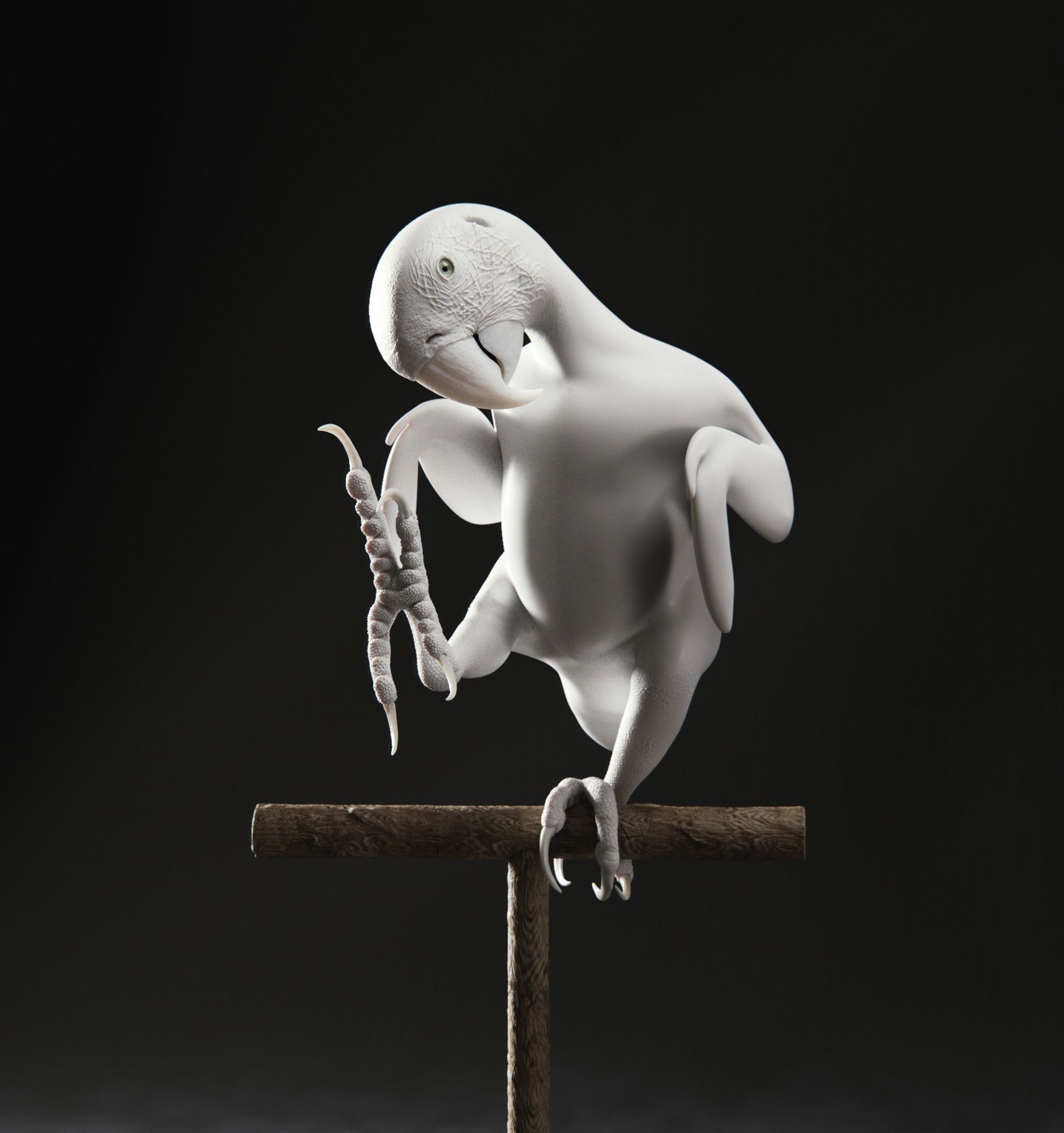 Realistic 3D model of Macaw with texture pack 3D model_2