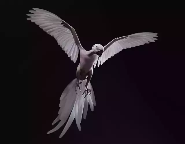 Realistic 3D model of Macaw with texture pack 3D model