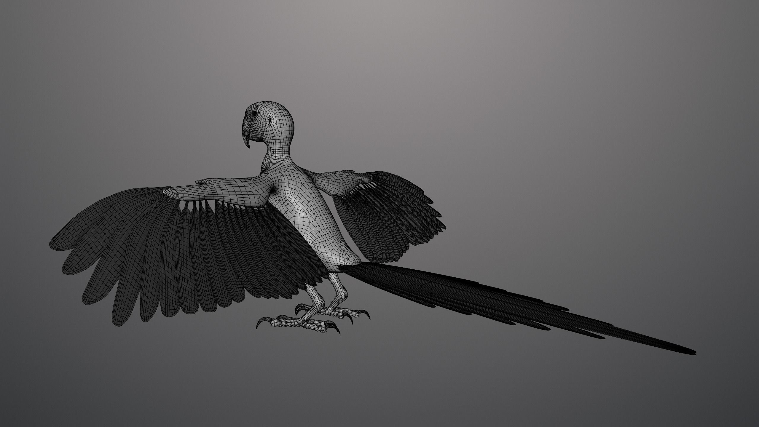 Realistic 3D model of Macaw with texture pack 3D model_11