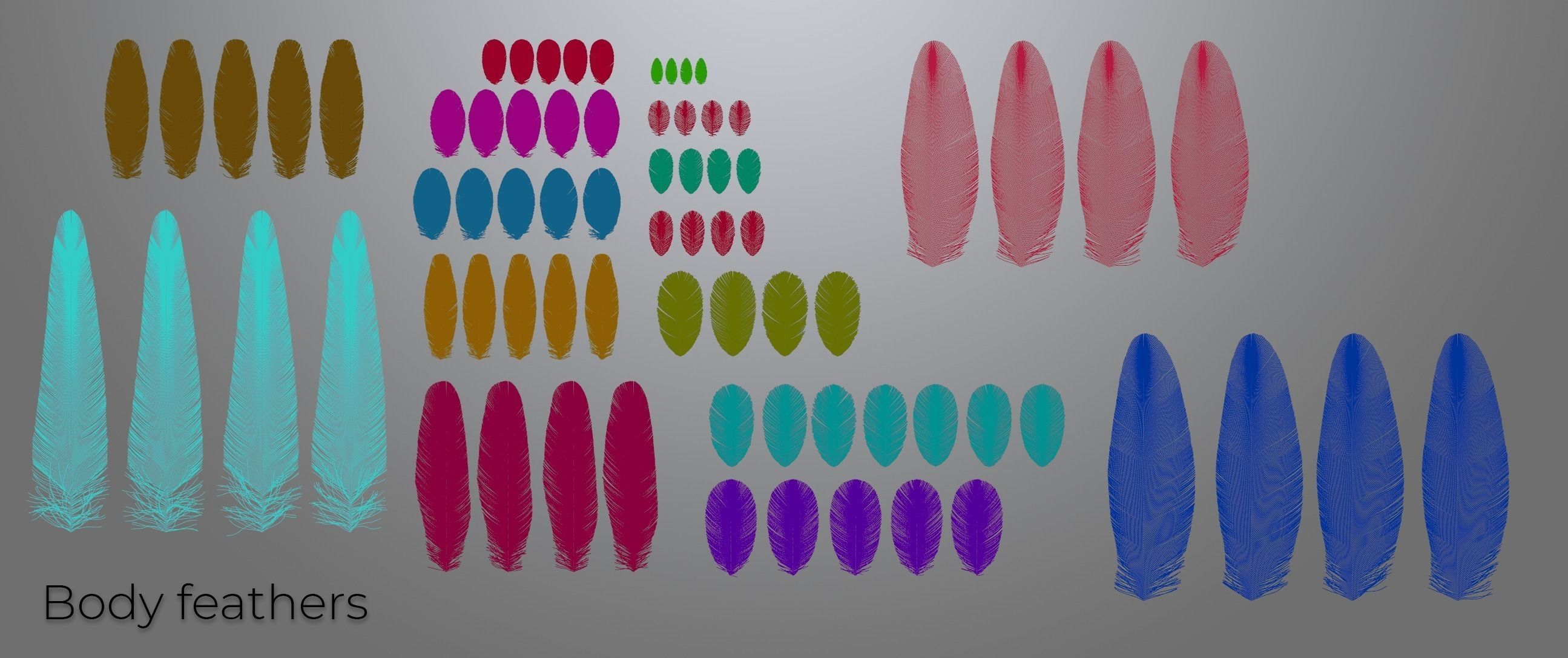 Feathers set for Macaw 3D model_2