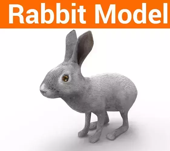3D Rabbit low poly mode