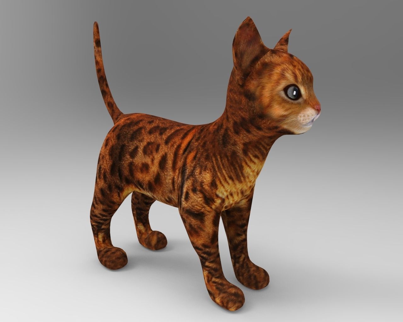 3d Pet Cat low poly Low-poly 3D model_3