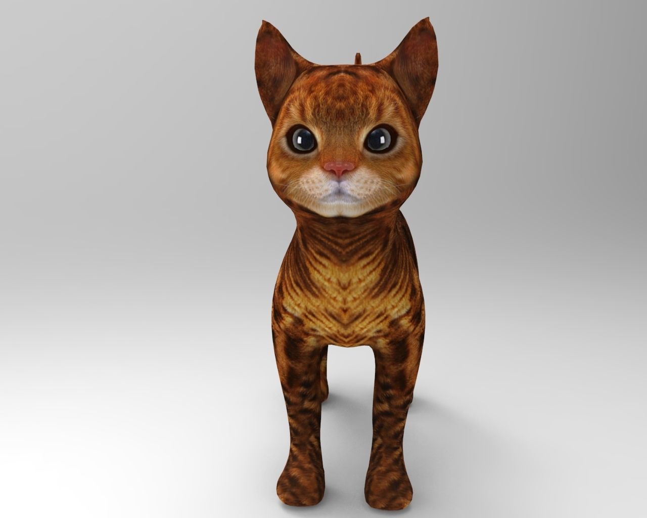 3d Pet Cat low poly Low-poly 3D model_2