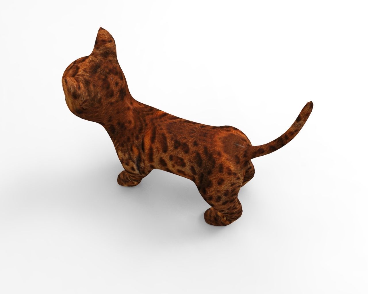 3d Pet Cat low poly Low-poly 3D model_6