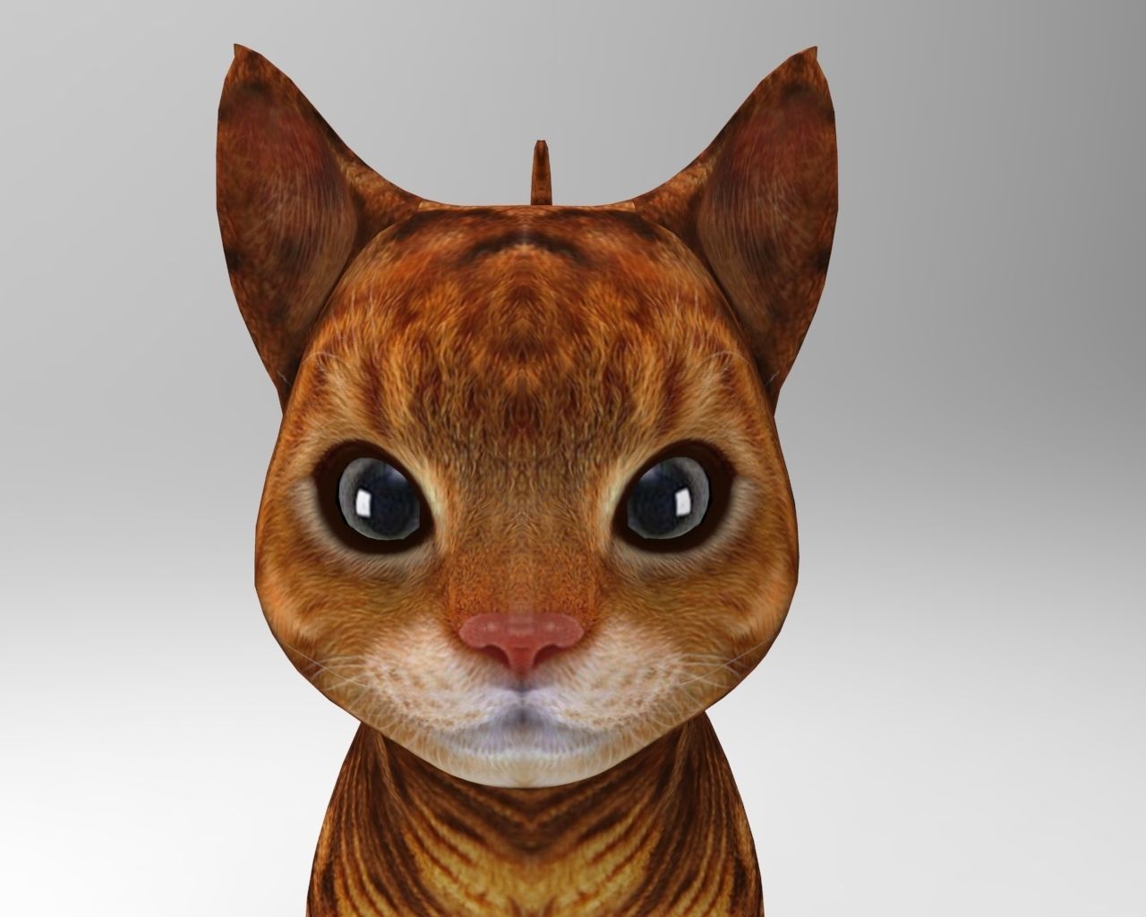 3d Pet Cat low poly Low-poly 3D model_7