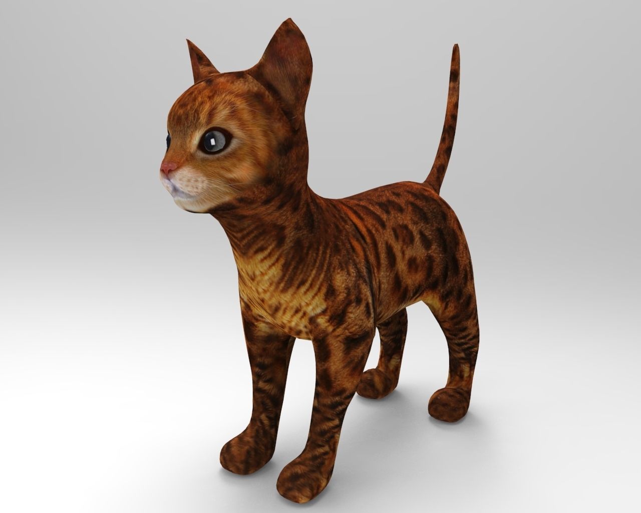 3d Pet Cat low poly Low-poly 3D model_9