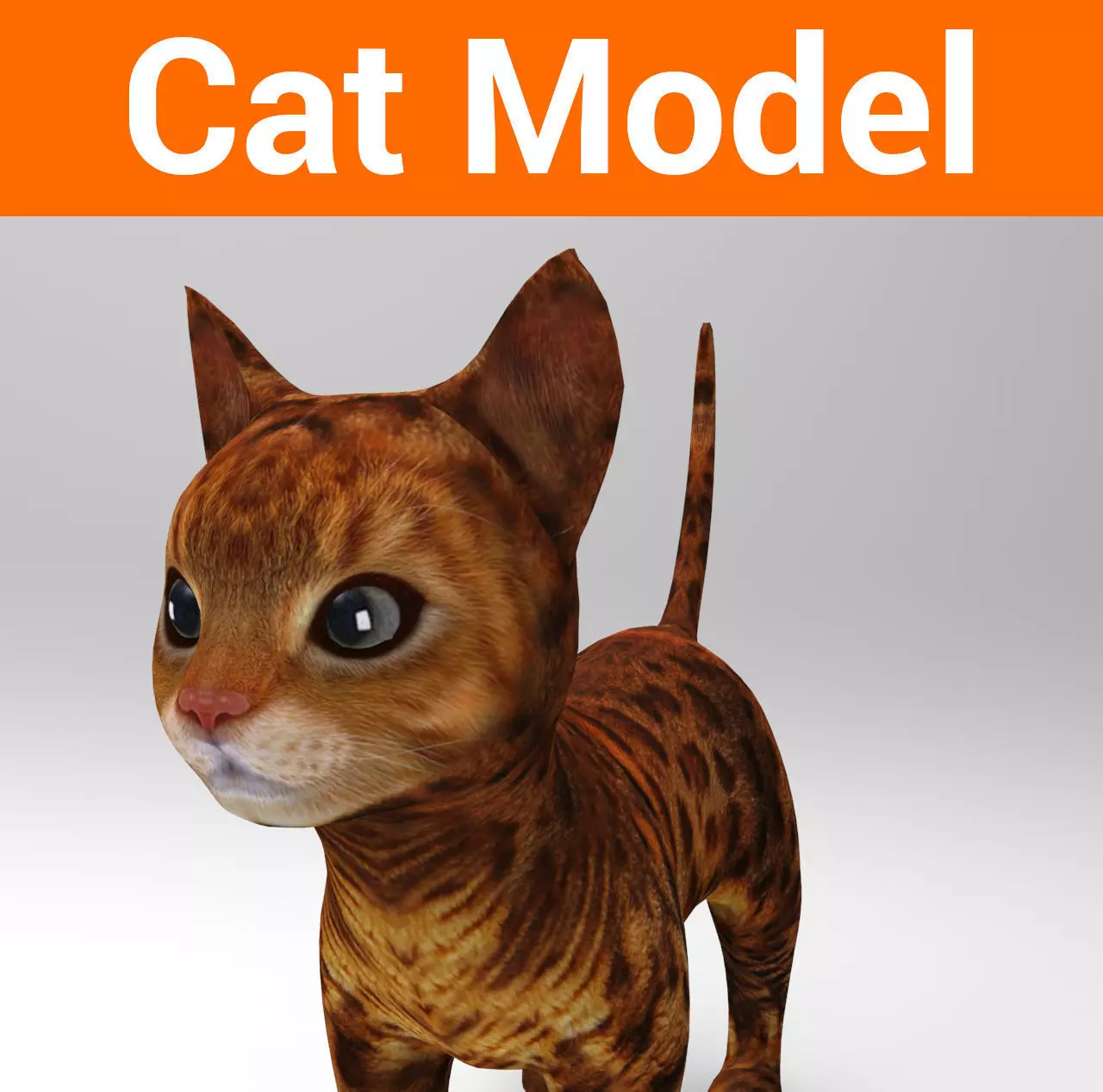 3d Pet Cat low poly Low-poly 3D model_0