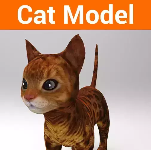 3d Pet Cat low poly 