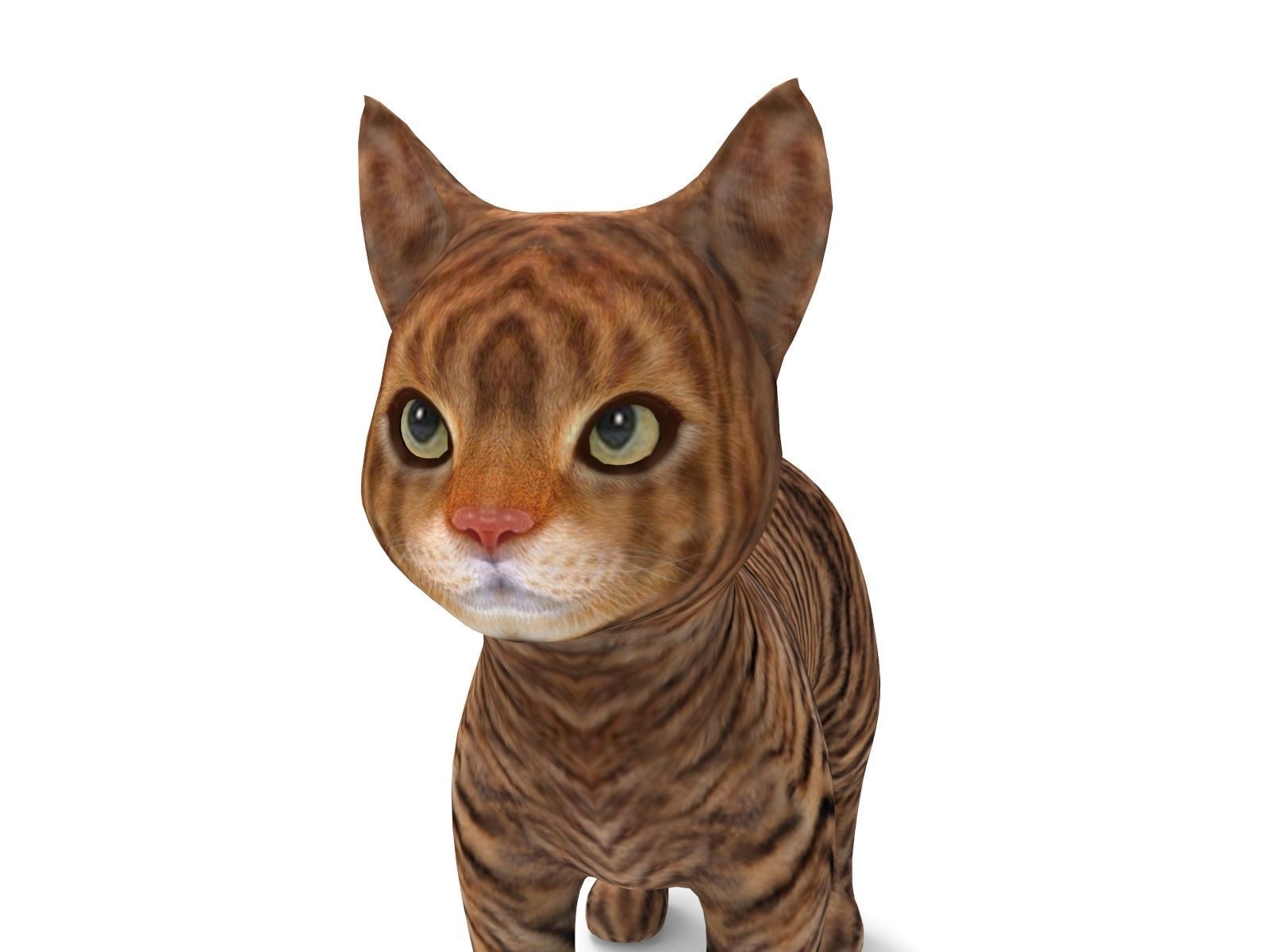 cute Cat model 3D pet Low-poly 3D model_1