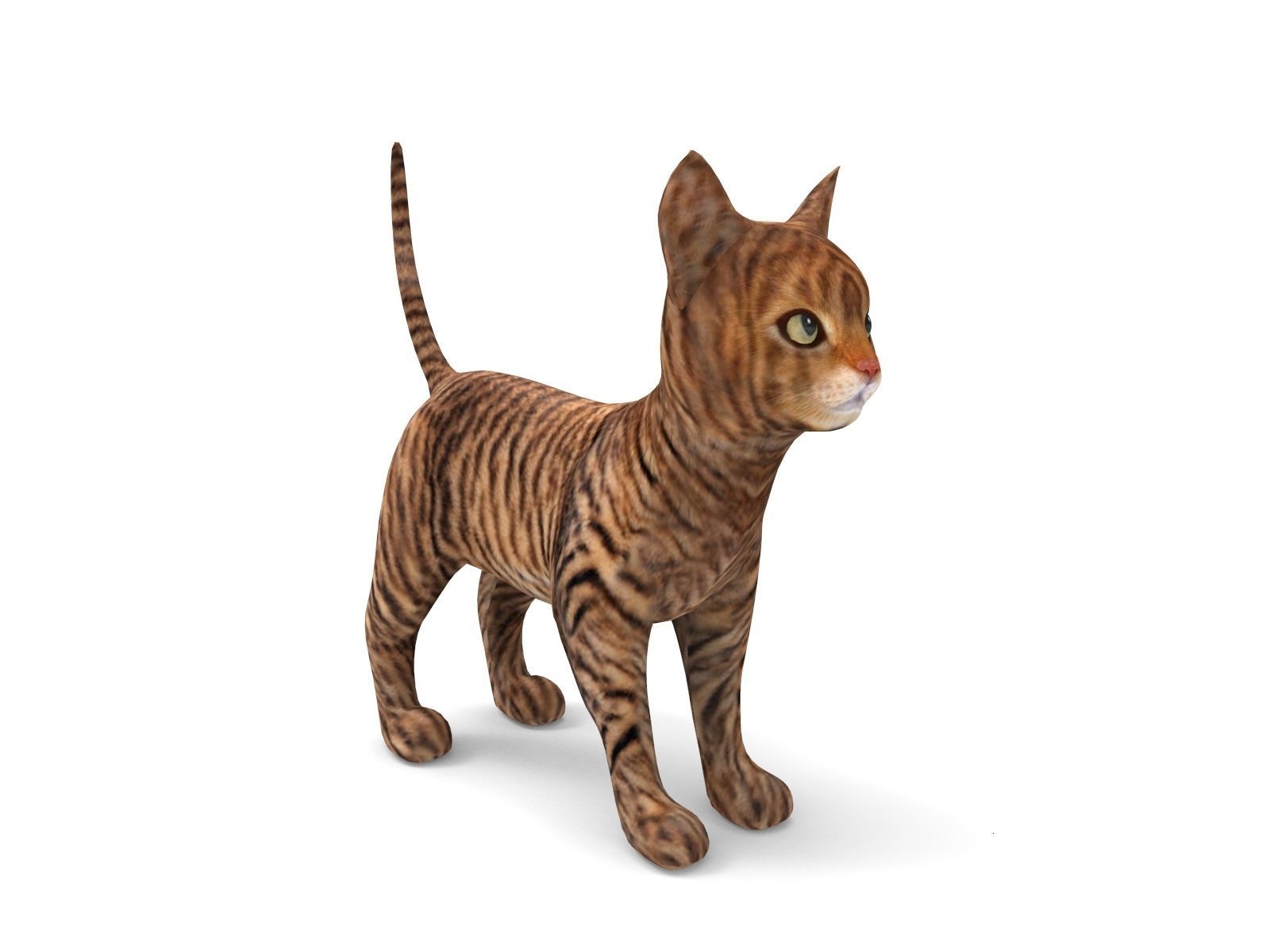 cute Cat model 3D pet Low-poly 3D model_3