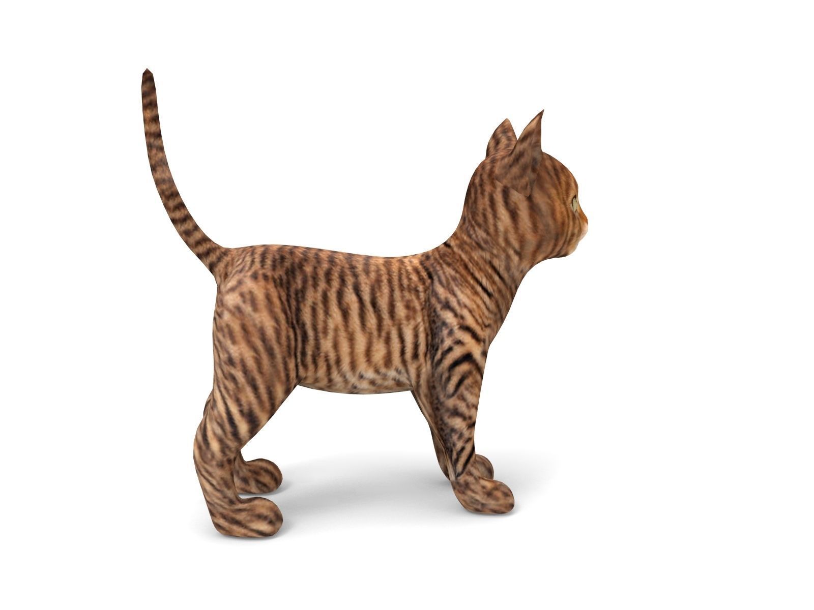 cute Cat model 3D pet Low-poly 3D model_4