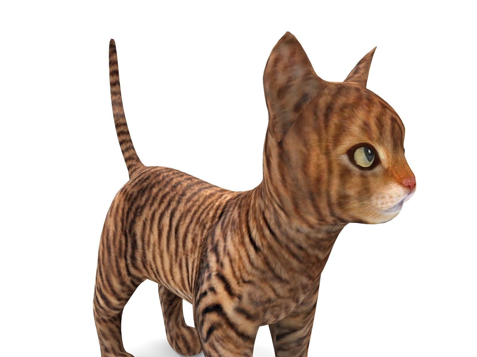 cute Cat model 3D pet Low-poly 3D model_2