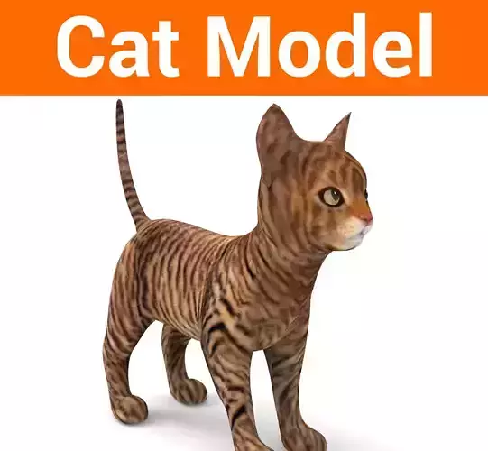 cute Cat model 3D pet