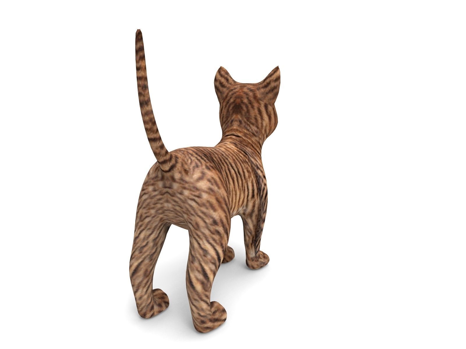 cute Cat model 3D pet Low-poly 3D model_5