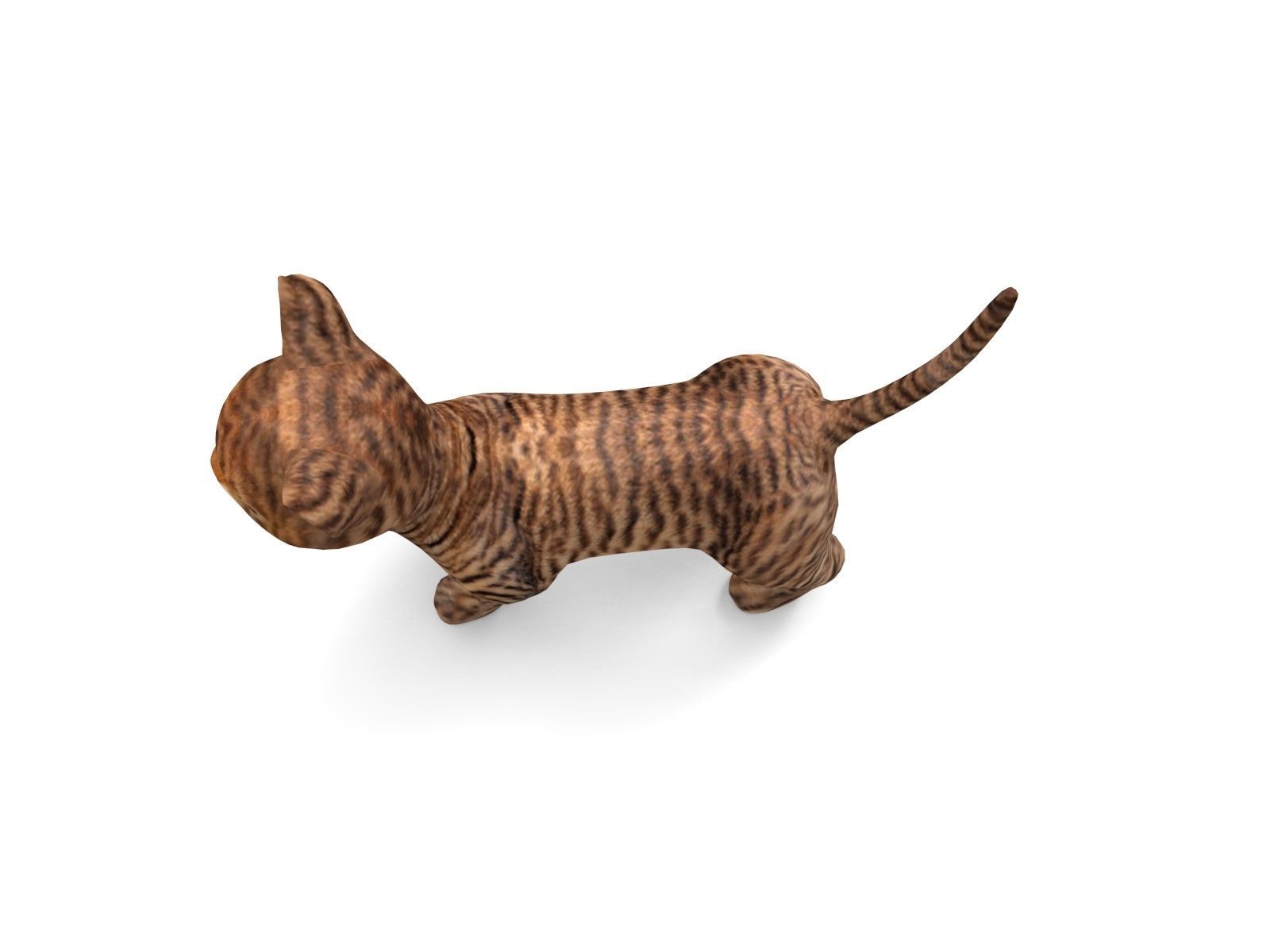 cute Cat model 3D pet Low-poly 3D model_7