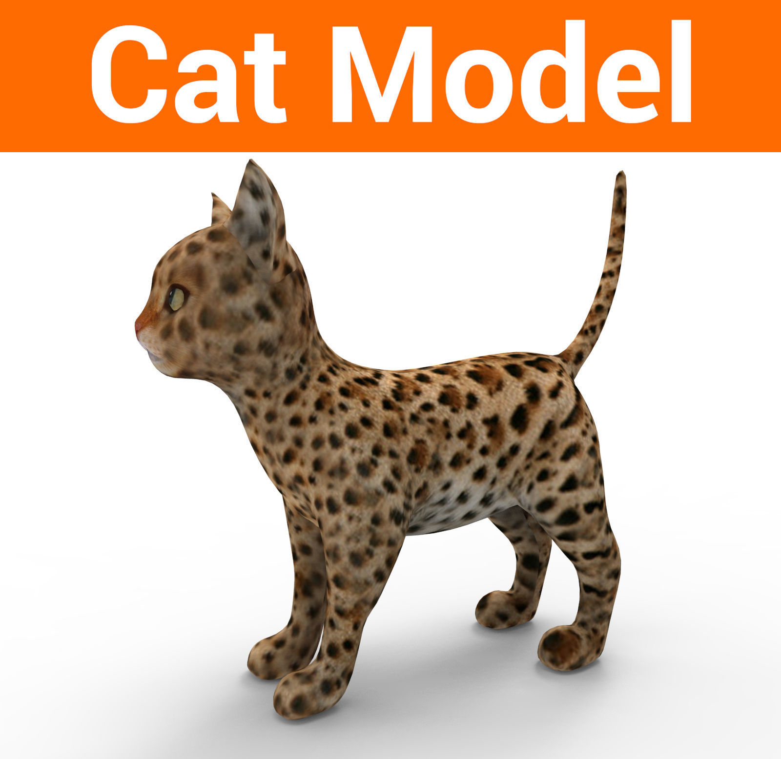 3d Pet Cat low poly game ready
