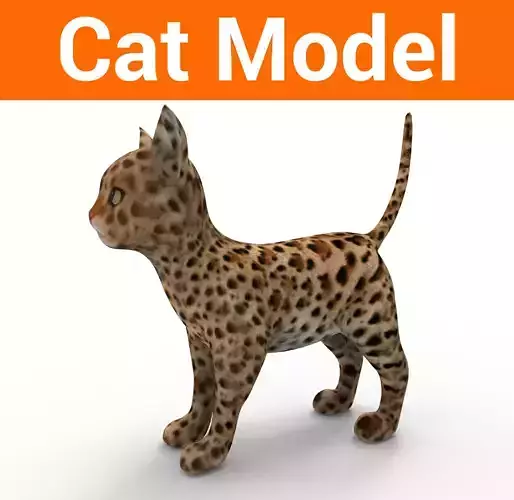 3d Pet Cat low poly game ready  Low-poly 3D model