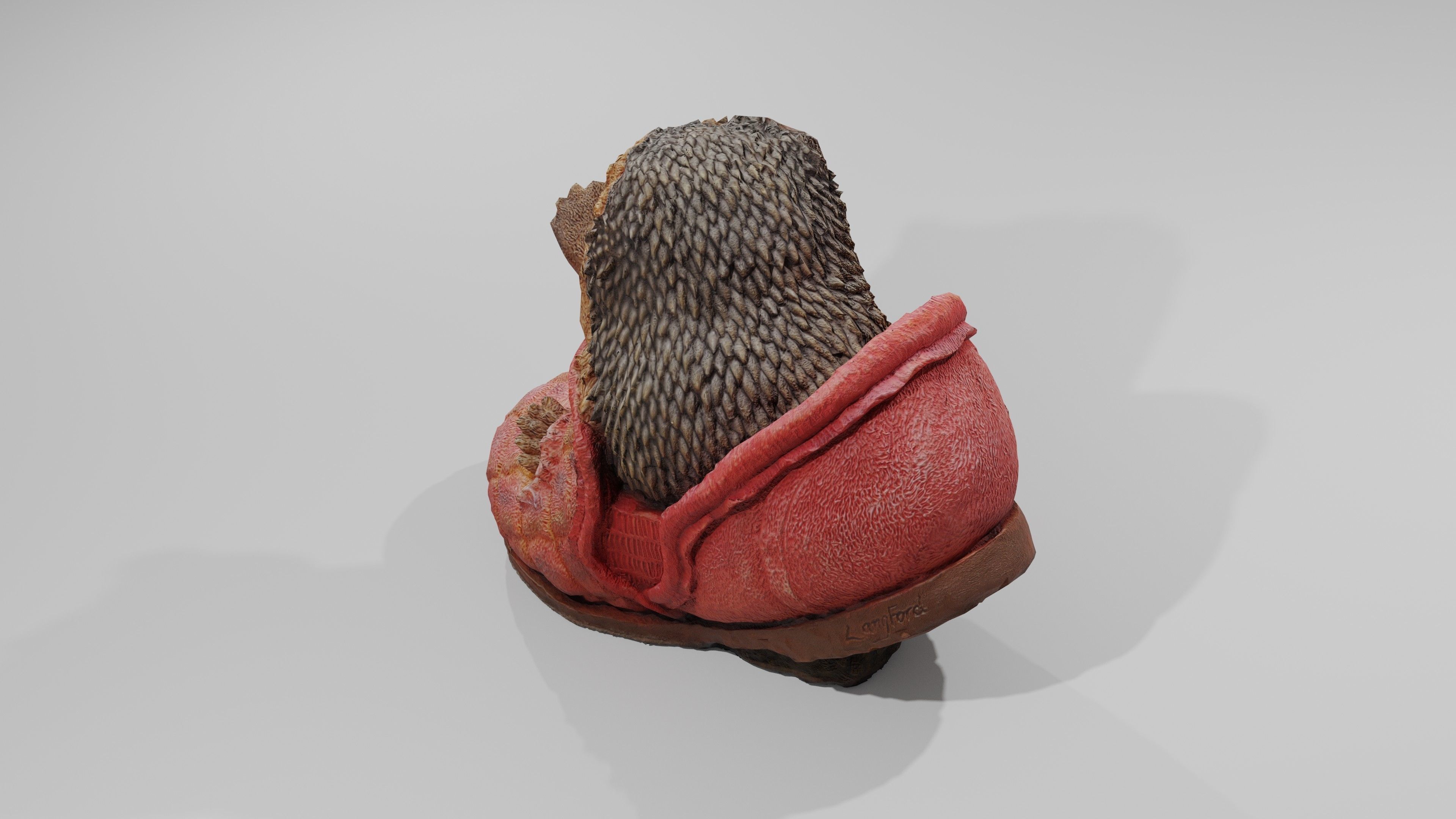 Hedgehog in a Shoe Low-poly 3D model_7