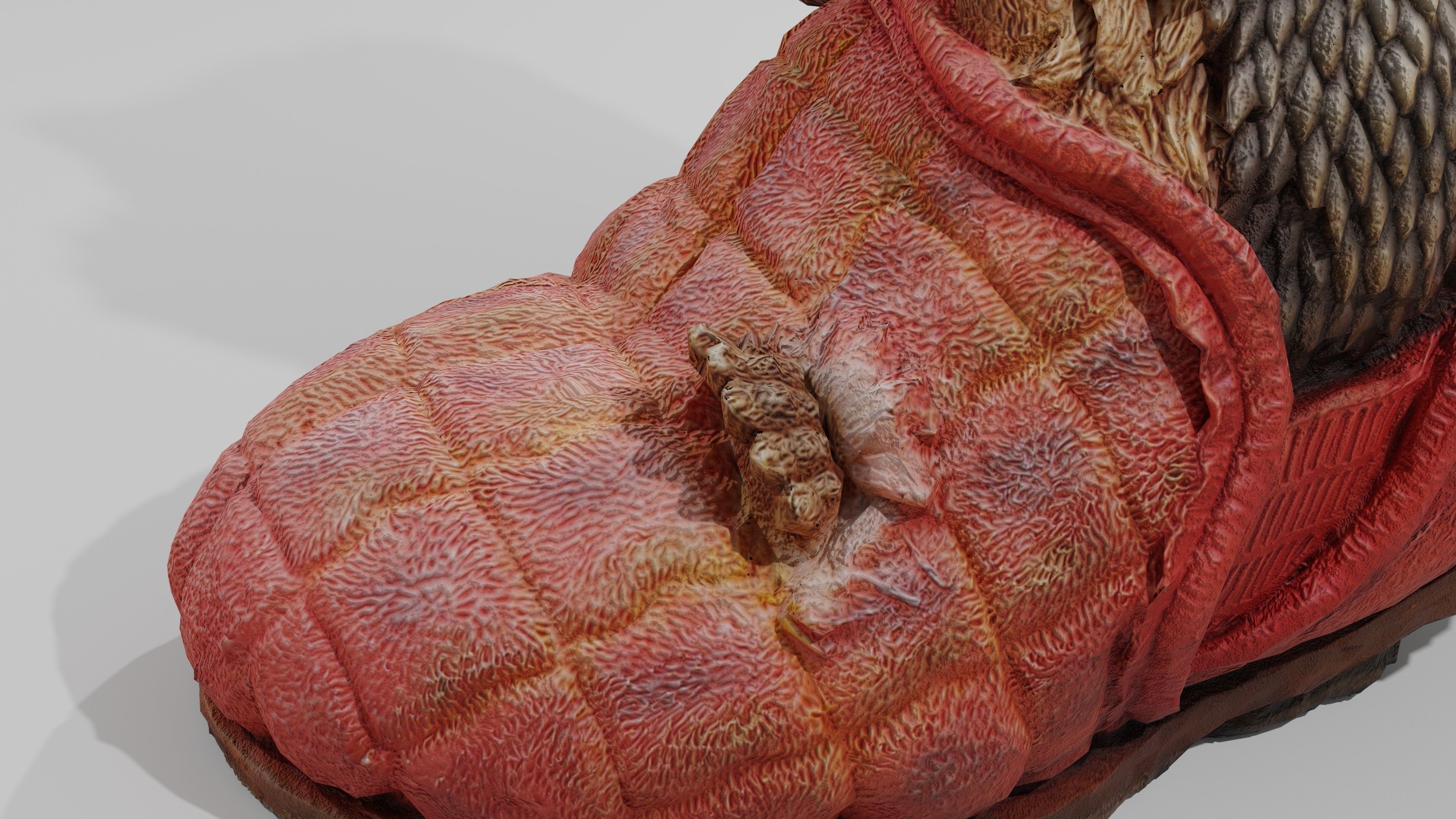 Hedgehog in a Shoe Low-poly 3D model_3