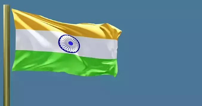 indian flag 3D model 3D model