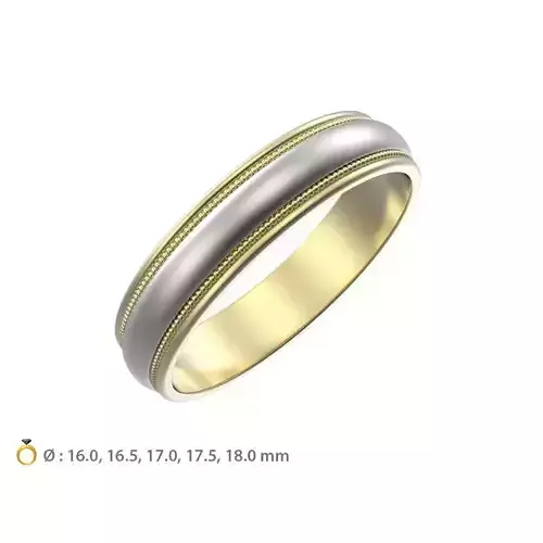 N029 Set of Wedding rings 3D print model