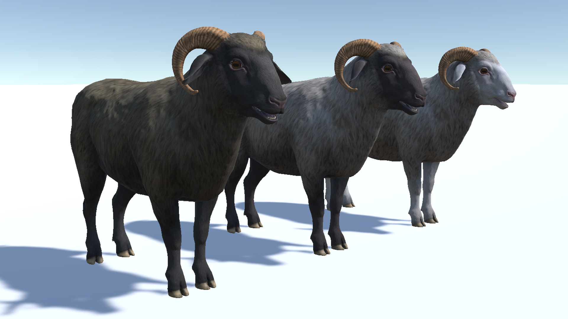 Ram realistic Low-poly 3D model_9