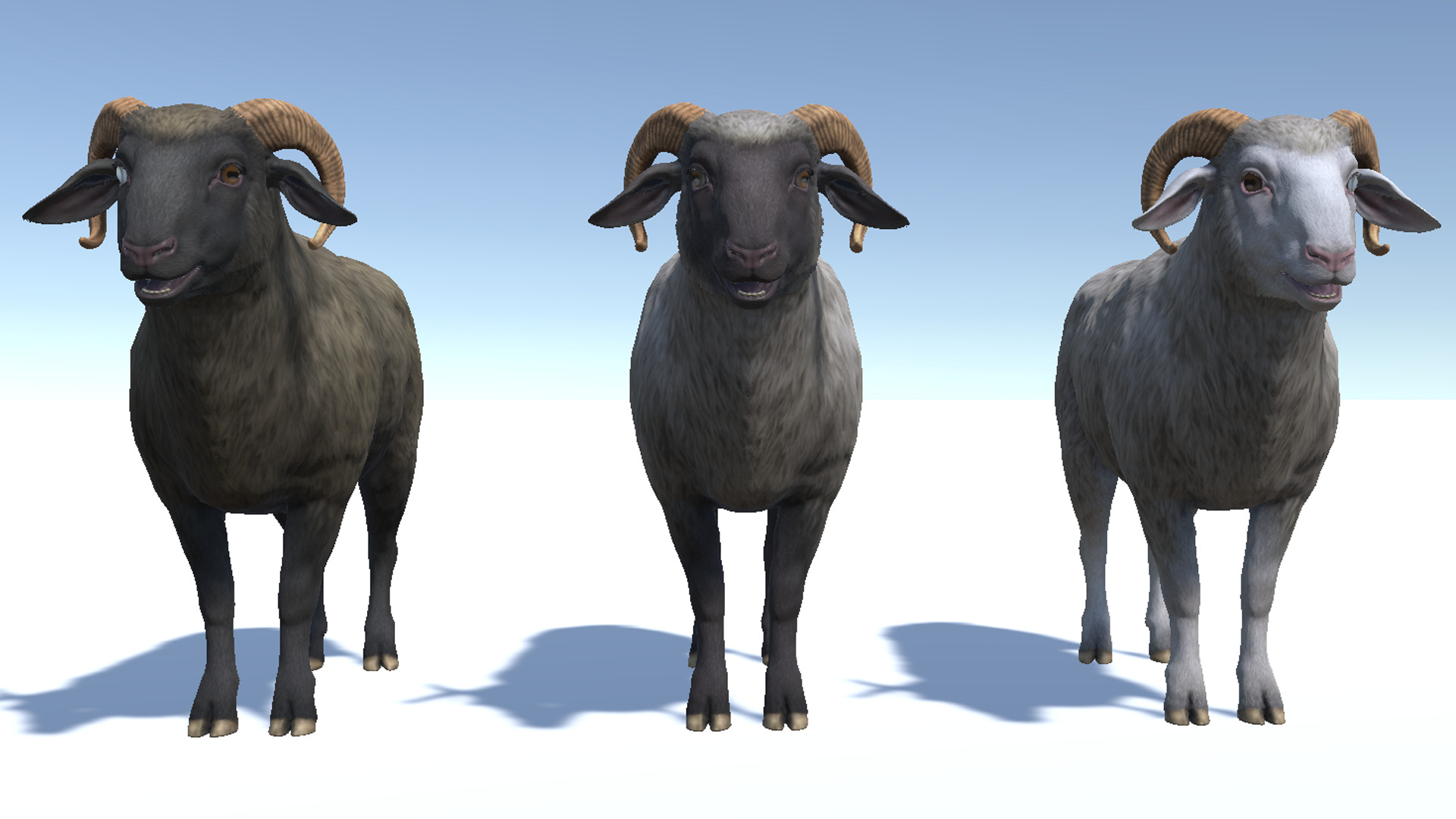 Ram realistic Low-poly 3D model_8