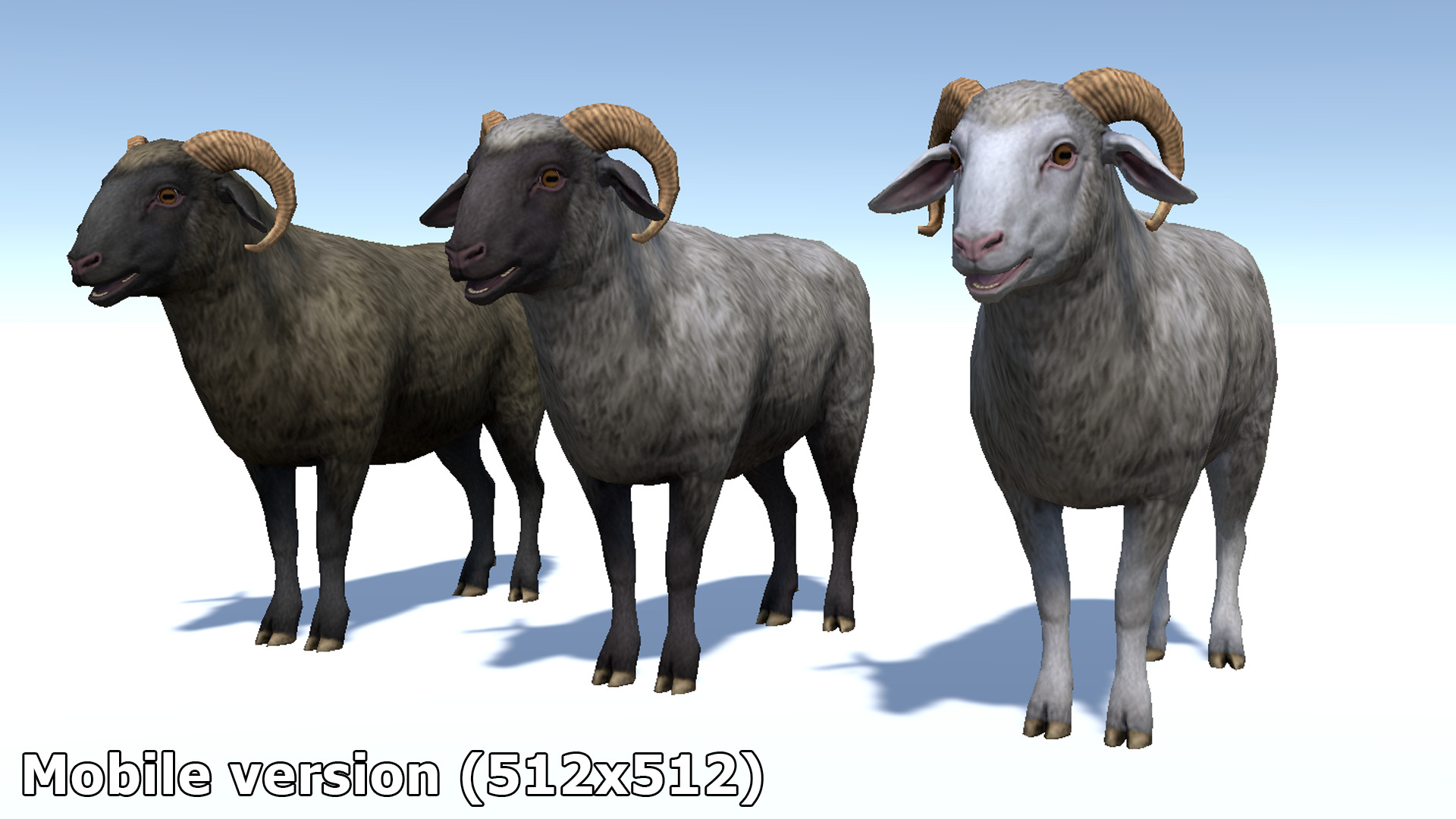 Ram realistic Low-poly 3D model_14