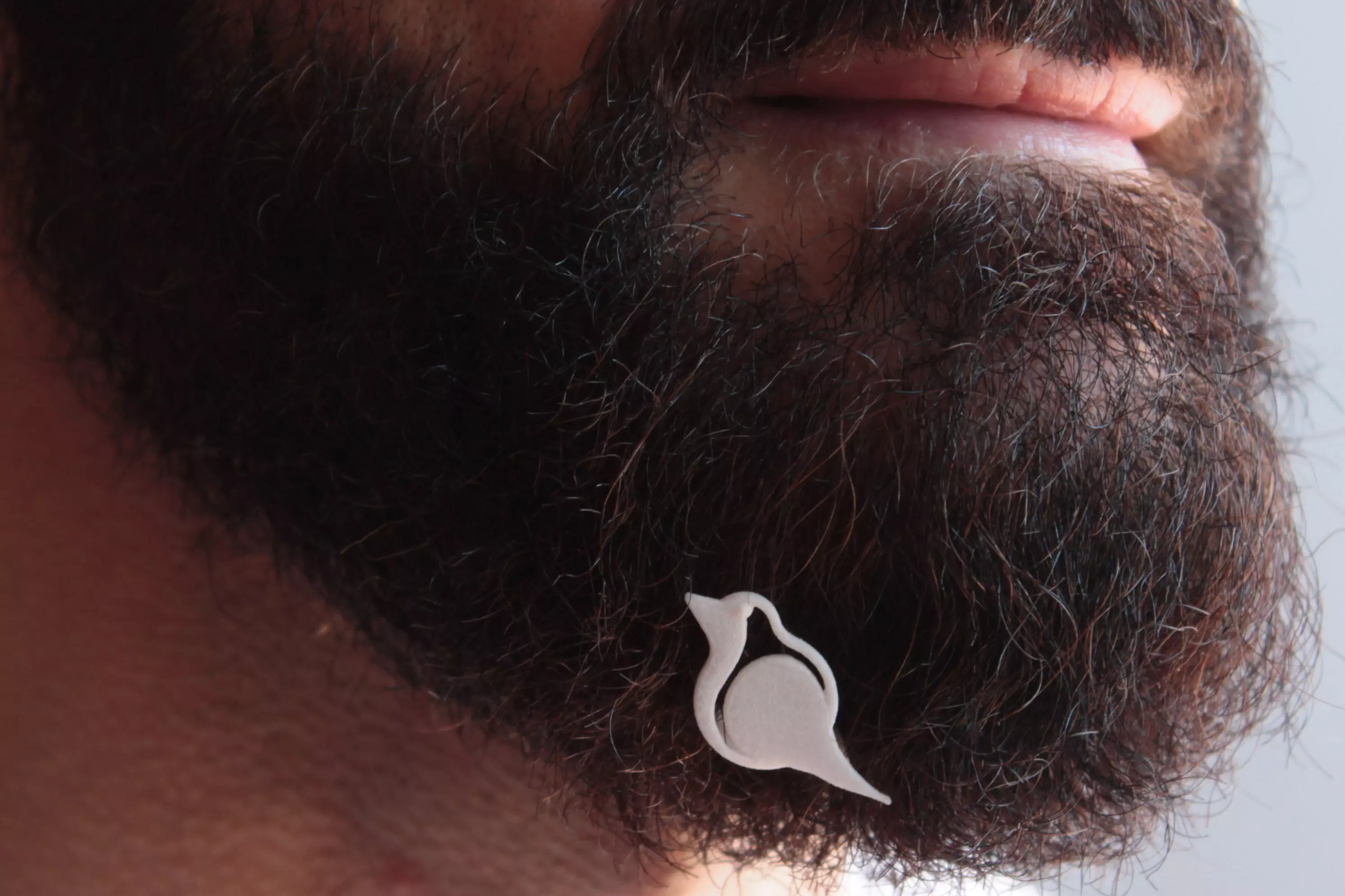 Robin for beard - front wearing 3D print model_0