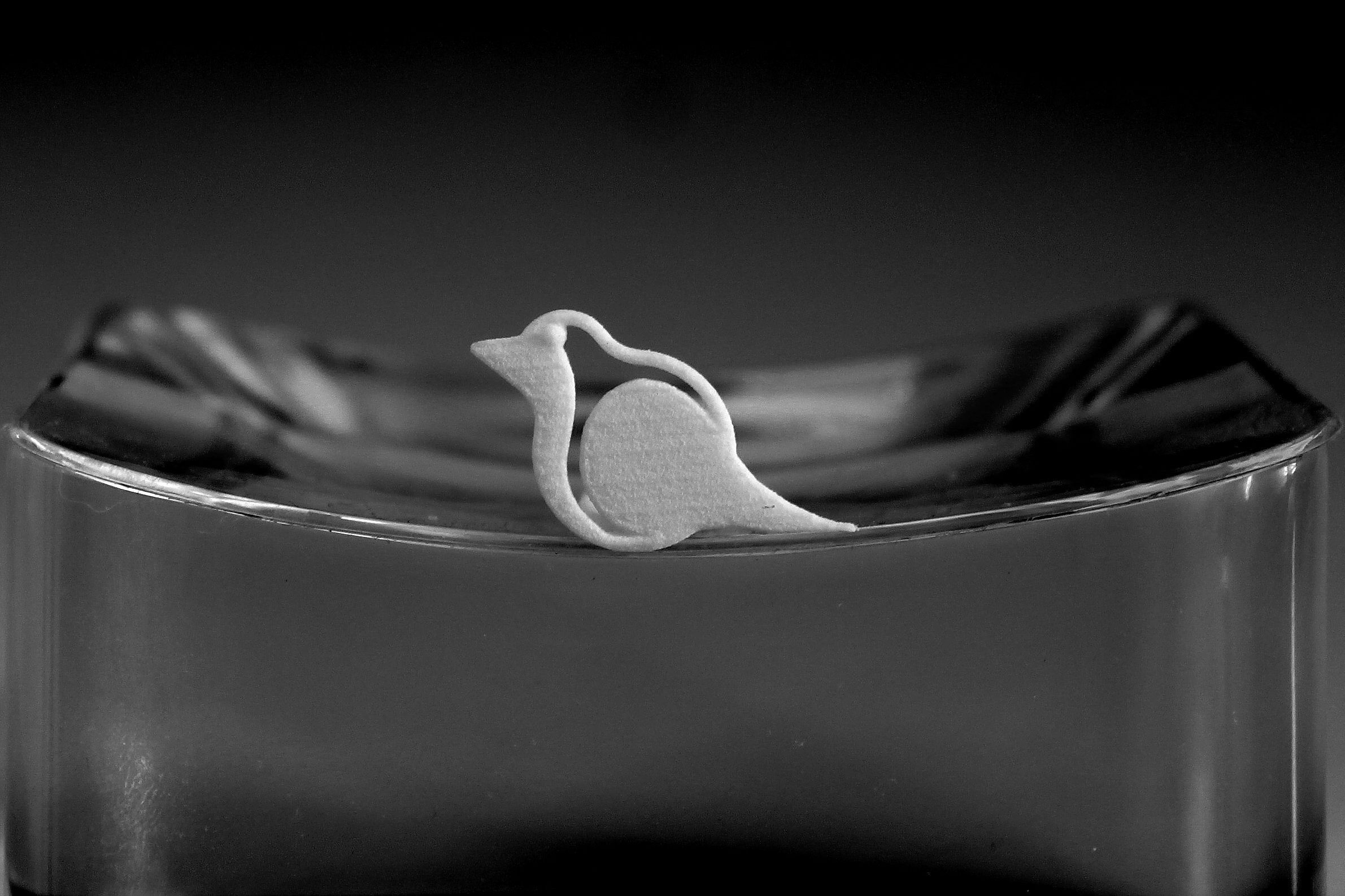 Robin for beard - front wearing 3D print model_2