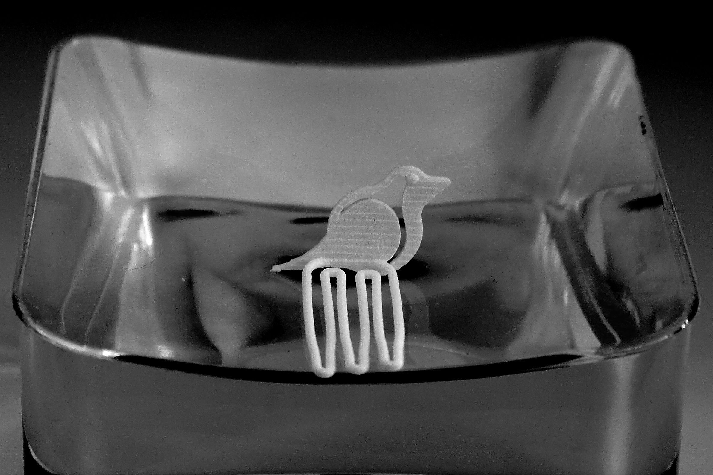 Robin for beard - front wearing 3D print model_3